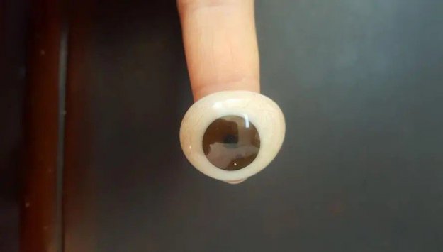 樹脂義眼