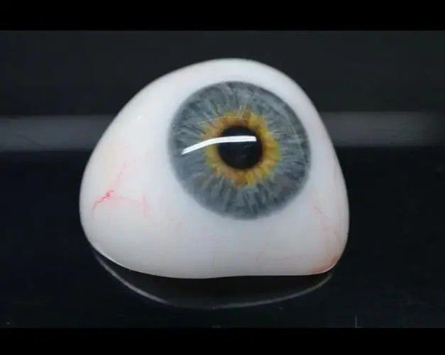 樹(shù)脂義眼