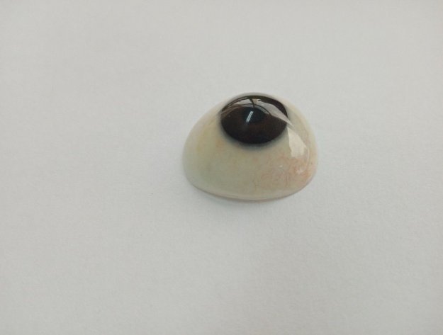 樹(shù)脂義眼