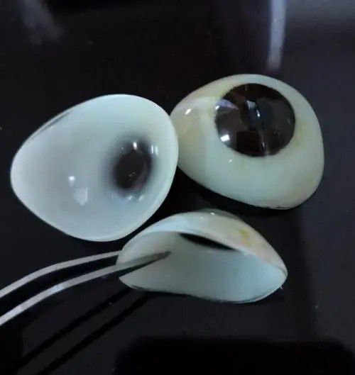 樹(shù)脂義眼
