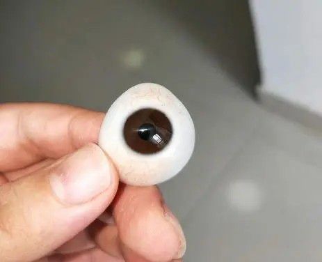 義眼廠(chǎng)家